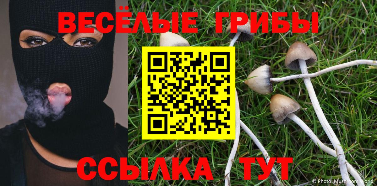 Псилоцибиновые грибы Psilocybe  где продают наркотики  Ногинск  Вход с VPN 